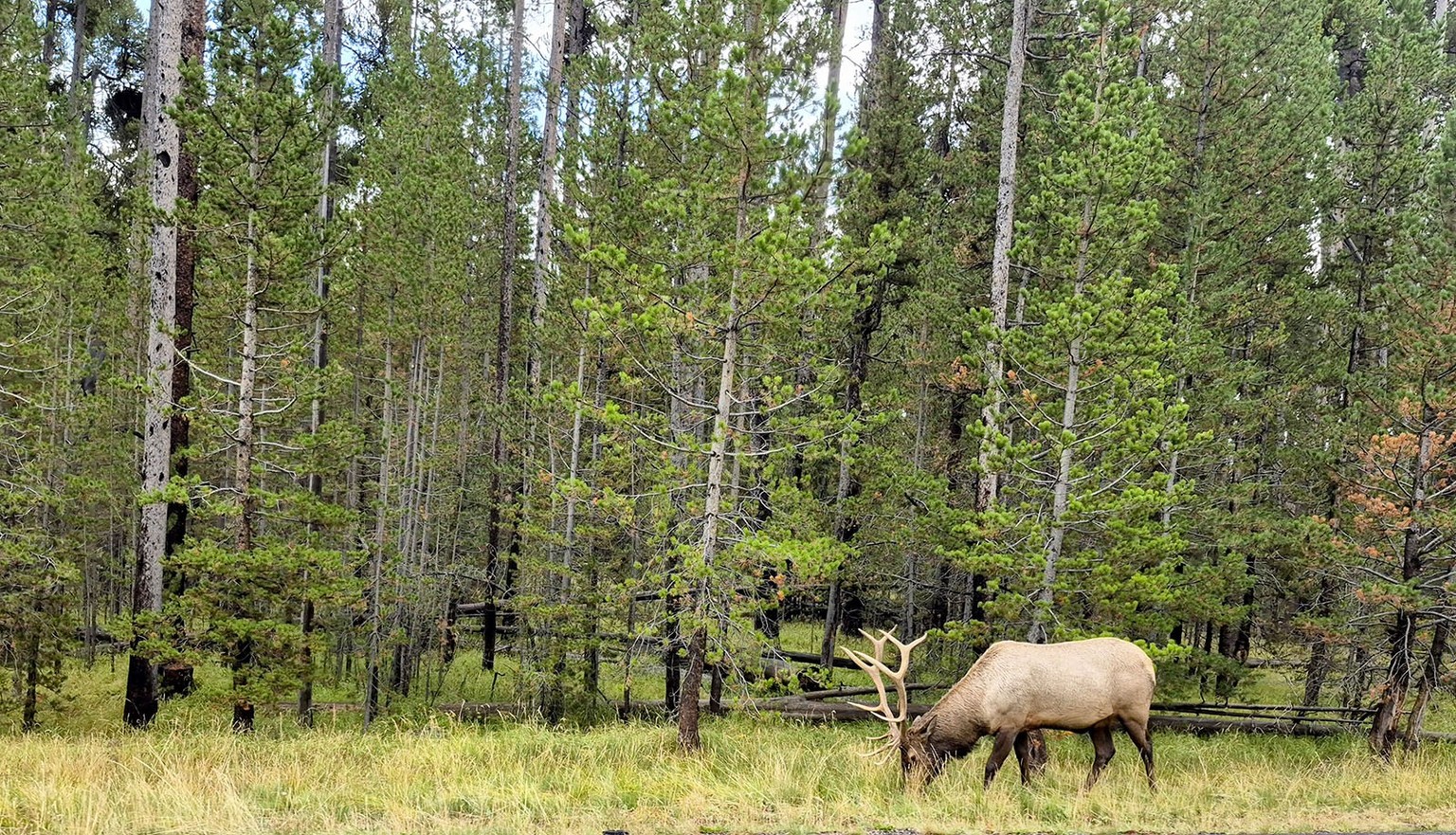 Shawn Vales USA: Bilder nur in Absprache mit Toggi verwenden.