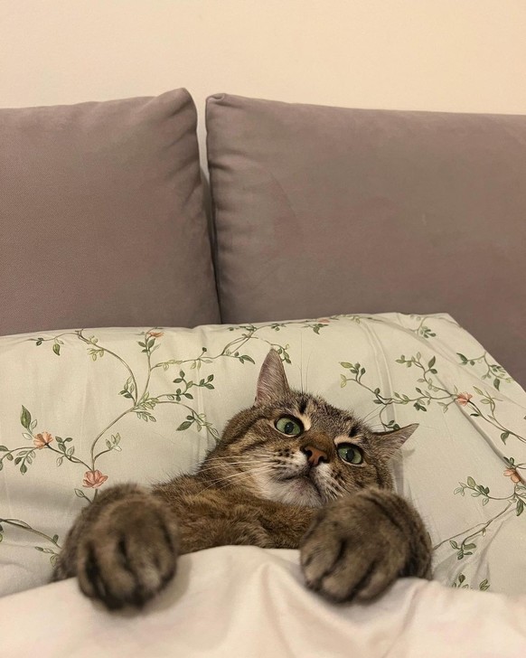 Mais il est fondamental de se relaxer.