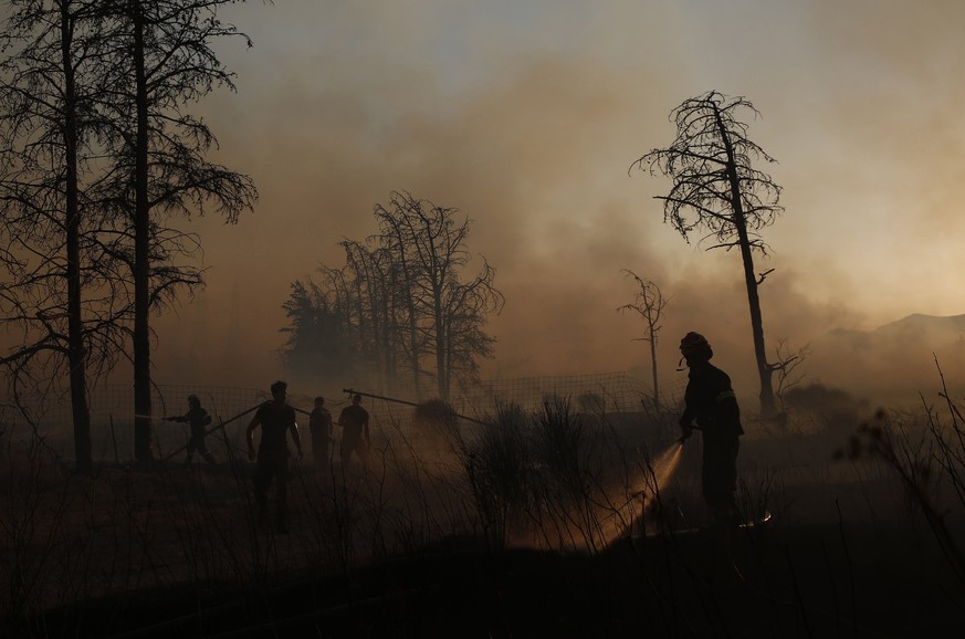 epa12264489 Firefighters and volunteers battle a wildfire in the area of Kryoneri, in the suburbs of Athens, Greece, 26 July 2025. Firefighting forces are battling the wildfire that broke out in Kryon ...