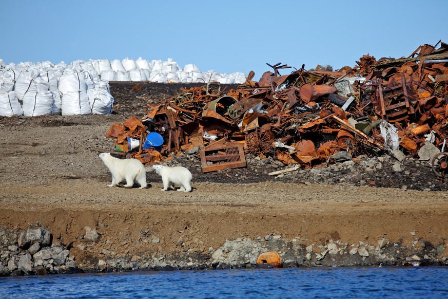 L&#039;Arctique est désormais aussi pollué que les grandes villes
