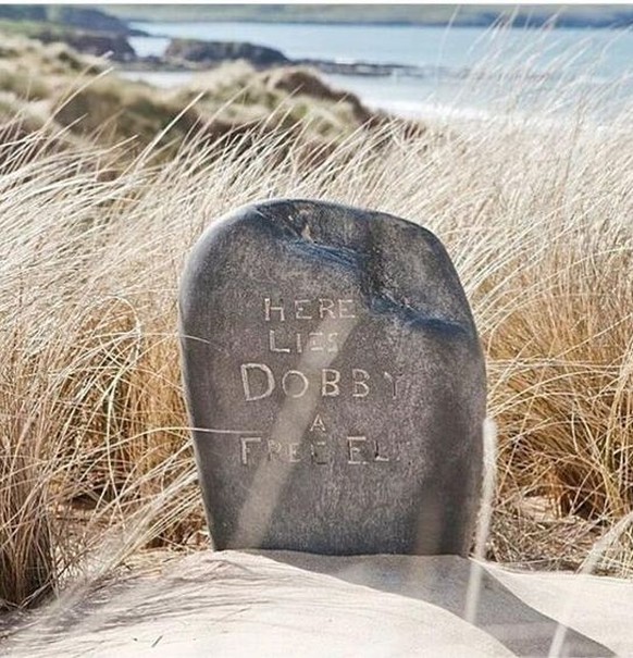 La tombe de Dobby, dans le film, se situe sur une plage galloise. Depuis, le lieu attire de nombreux curieux.