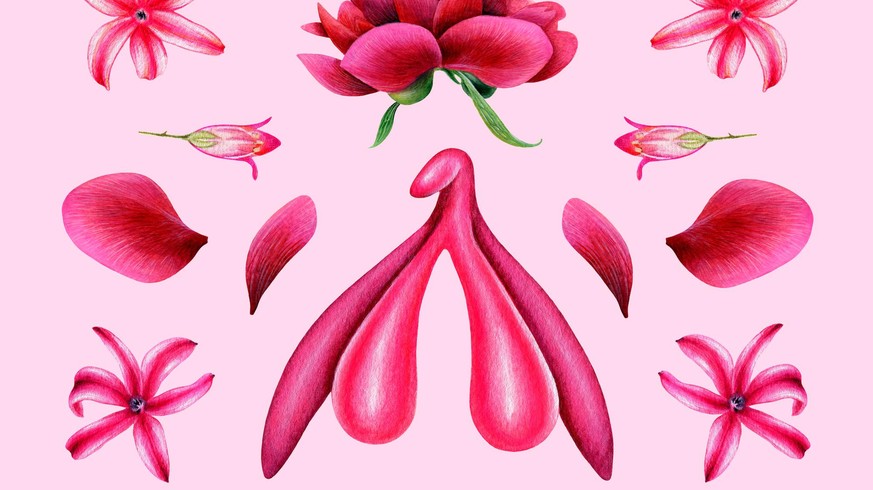 Le clitoris on veut le montrer cash, même à la télé publique