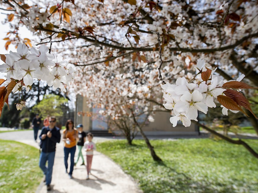 Lieu de promenade, les Conservatoire et Jardin botaniques de Gen