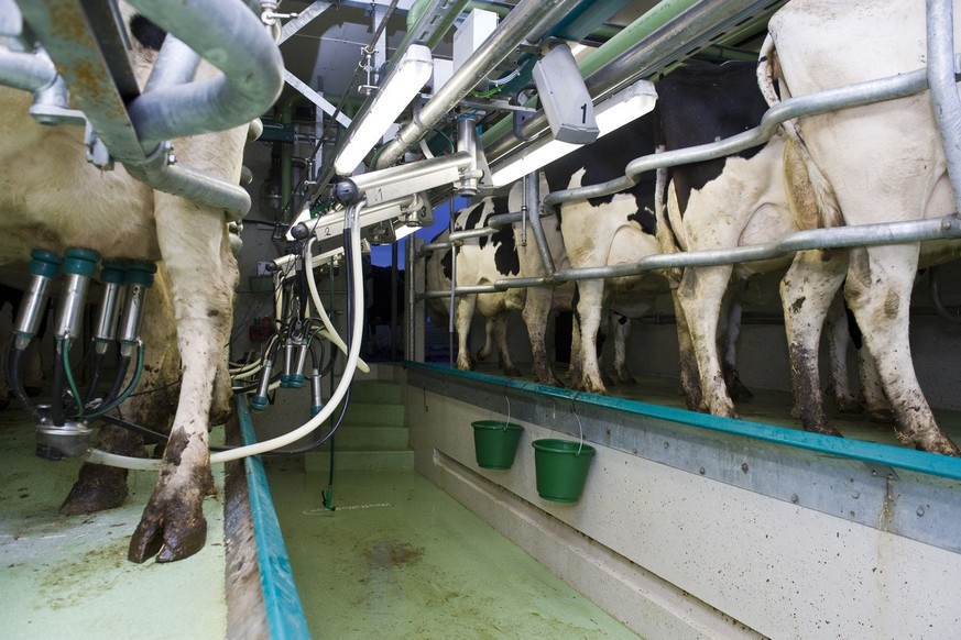 Cultivated Biosciences l&#039;assure: «On ne veut pas remplacer totalement les produits laitiers». (image d&#039;illustration)