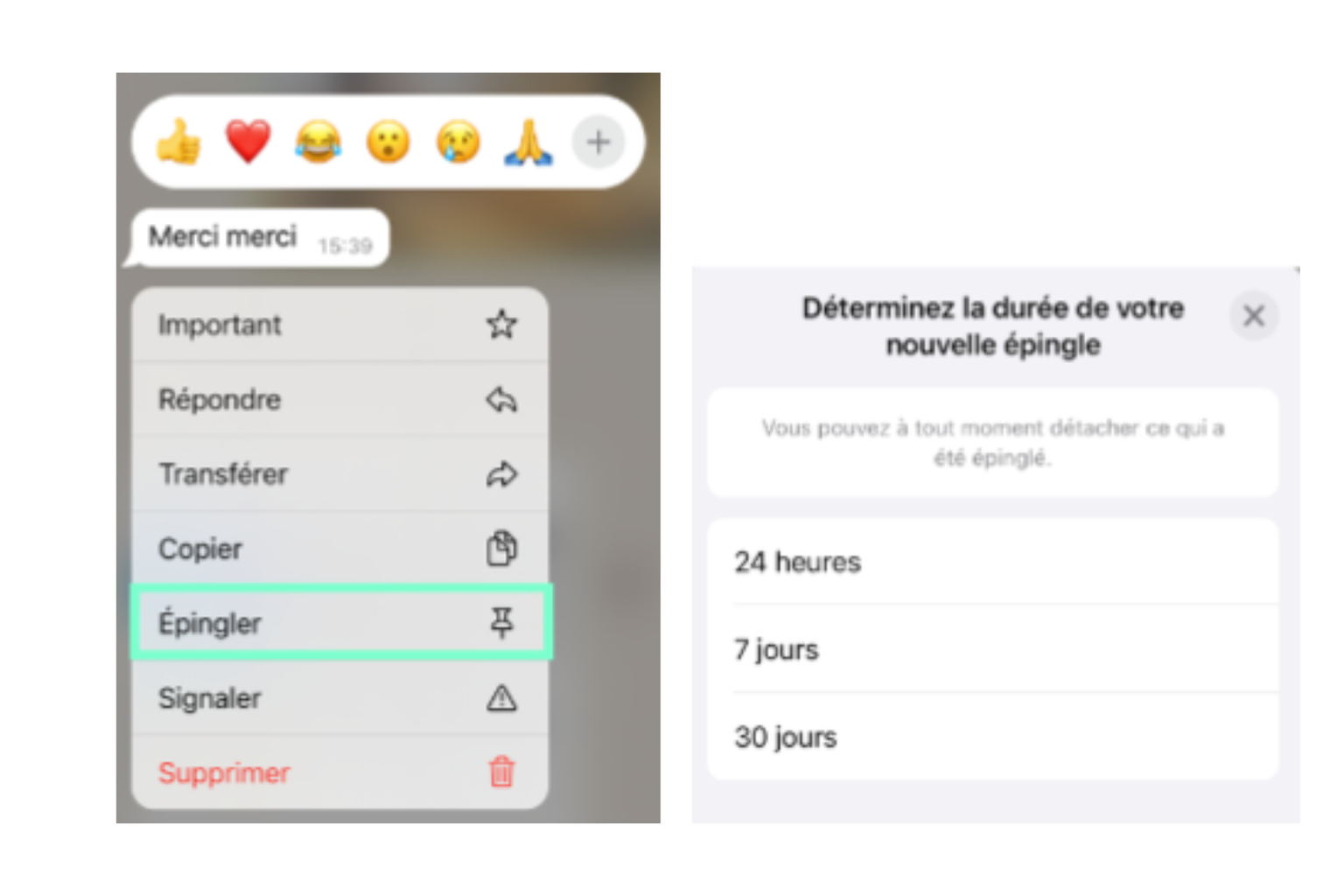 Epingler un message sur Whatsapp
