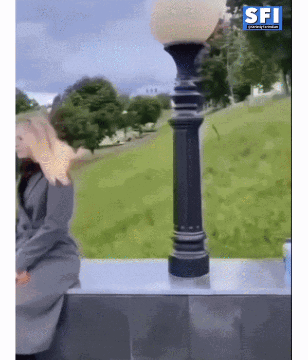 GIF animé