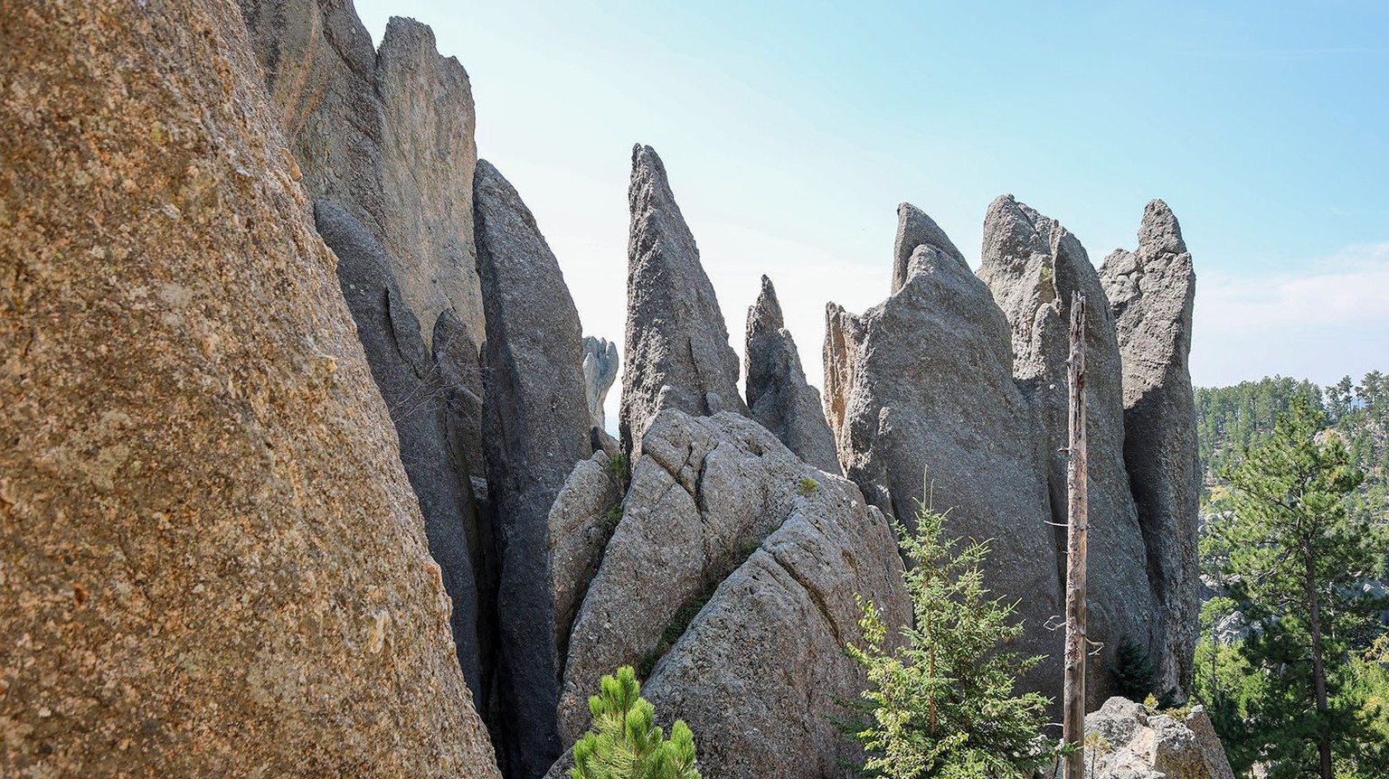 Shawn Vales USA: Bilder nur in Absprache mit Toggi verwenden.