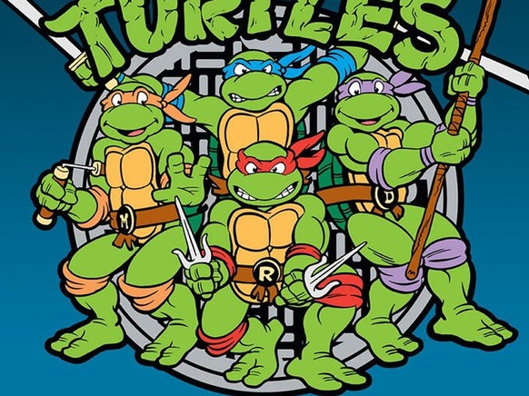 Teenage Mutant Hero Turtles 
Ninja Turtles