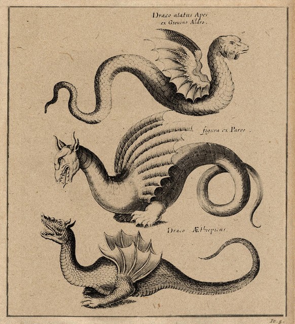 La vouivre une créature mi-serpent mi-dragon qui peut prendre une apparence humaine.