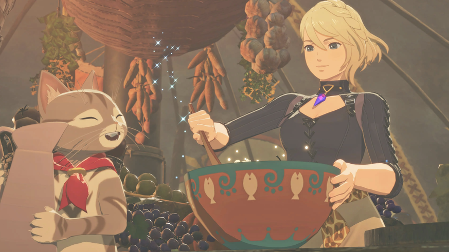 La licence a amélioré sa recette, mais peut encore la perfectionner.