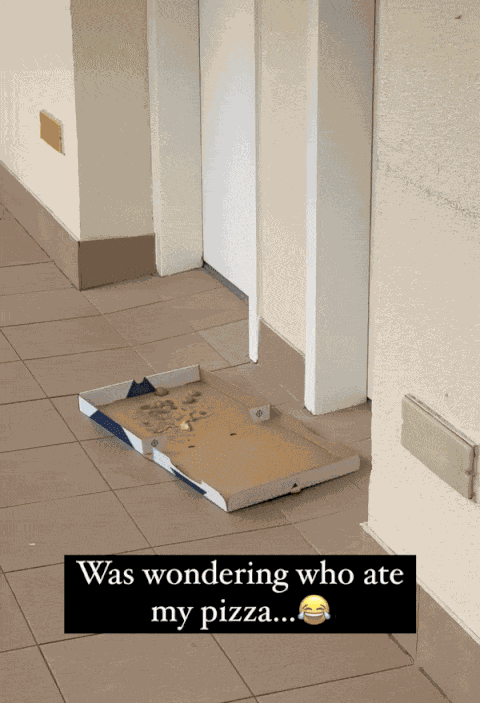 GIF animé