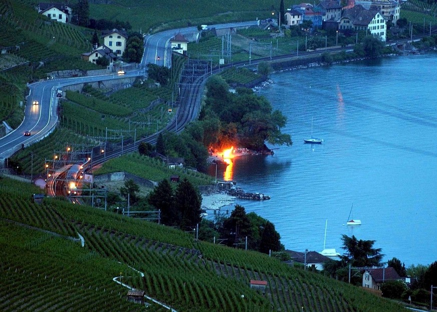 A protest fire burns in Villette near Lausanne, Switzerland, Saturday, May 31, 2003. About 50 fires were lit by anti-globalisation activists around lake Geneva as a sign of opposition. Anti-globalisat ...