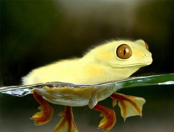 cute news photoshop

https://ch.pinterest.com/pin/1121888957171639543/