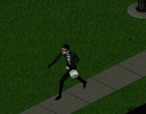 Dieb in Die Sims