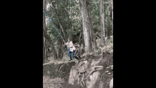 GIF animé