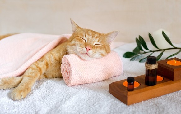 Wellness-Stockfotos Absurd
