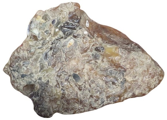 L&#039;ambre gris est un déchet cireux solide parfois présent dans le système digestif des cachalots.