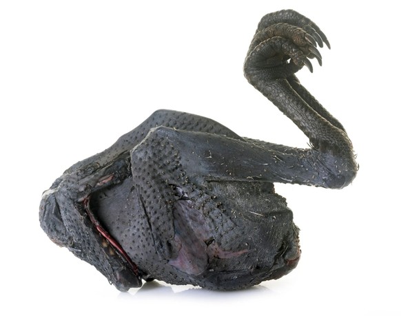 Inhabituel pour nos yeux. Un Ayam Cemani plumé. Même sa chair est noire.
