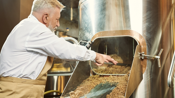 Aujourd’hui, les drêches de bière sont utilisées pour l’alimentation animale ou compostées.