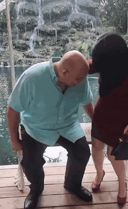GIF animé