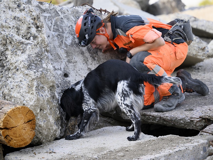 Les secouristes suisses et leurs chiens effectuent un travail efficace en Turquie.