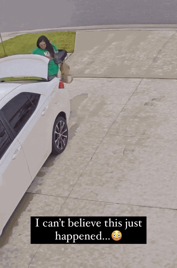 GIF animé