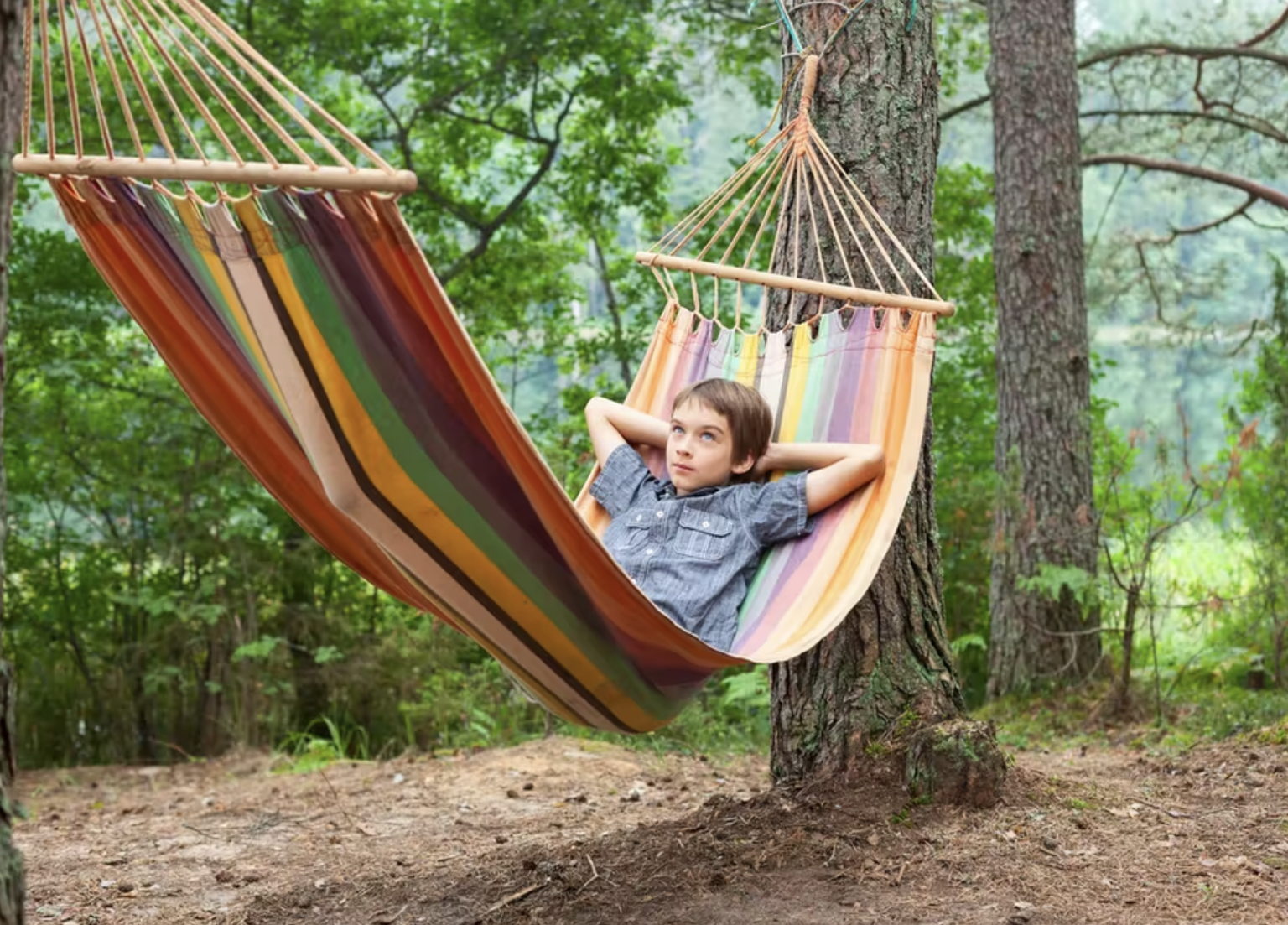 En été, les enfants oublient-ils tout ce qu&#039;ils ont appris à l&#039;école?