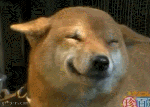 GIF animé