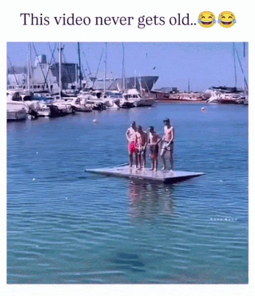 GIF animé