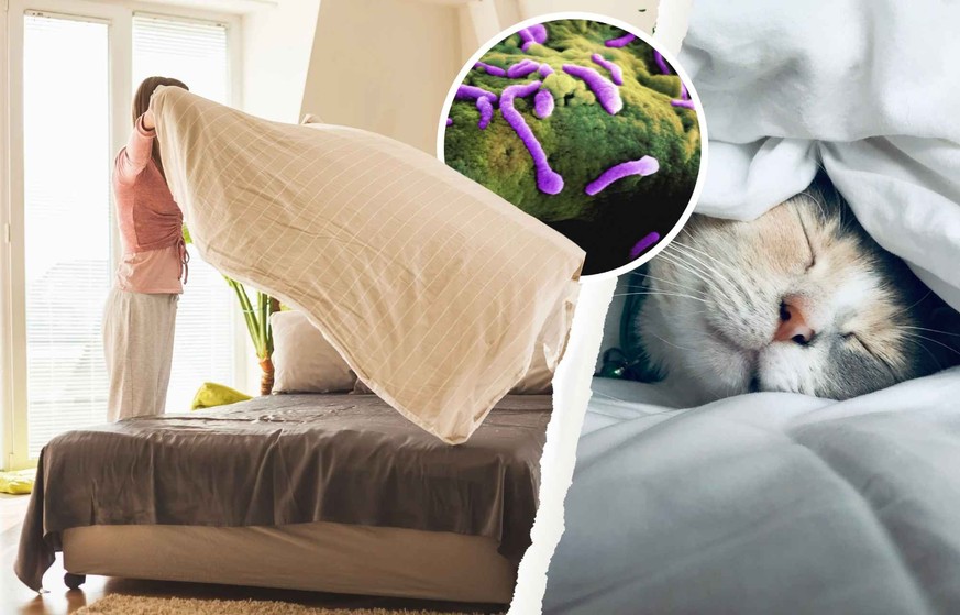 Quels sont les risques si on ne change pas ses draps? Un expert répond