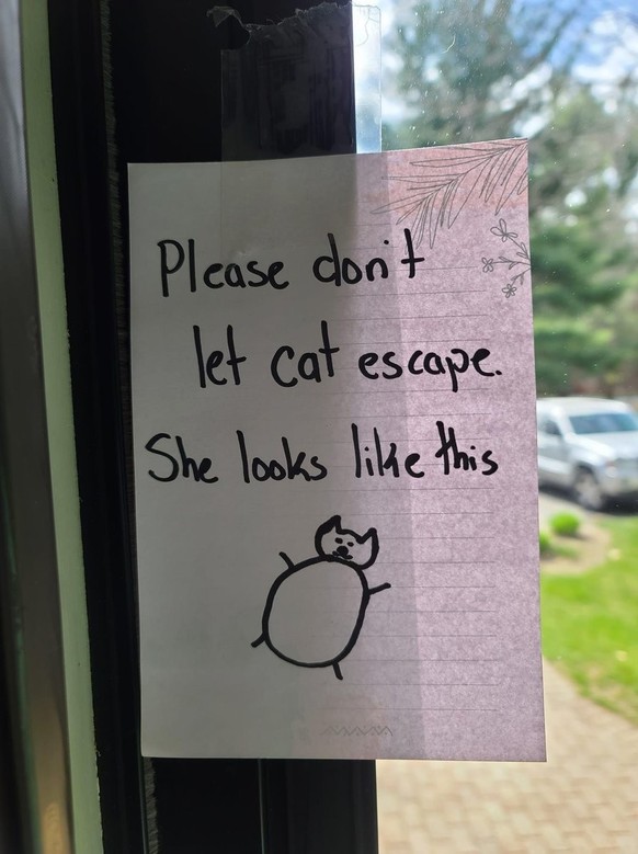 Merci de ne pas laisser la chatte s'échapper. Elle ressemble à ça.