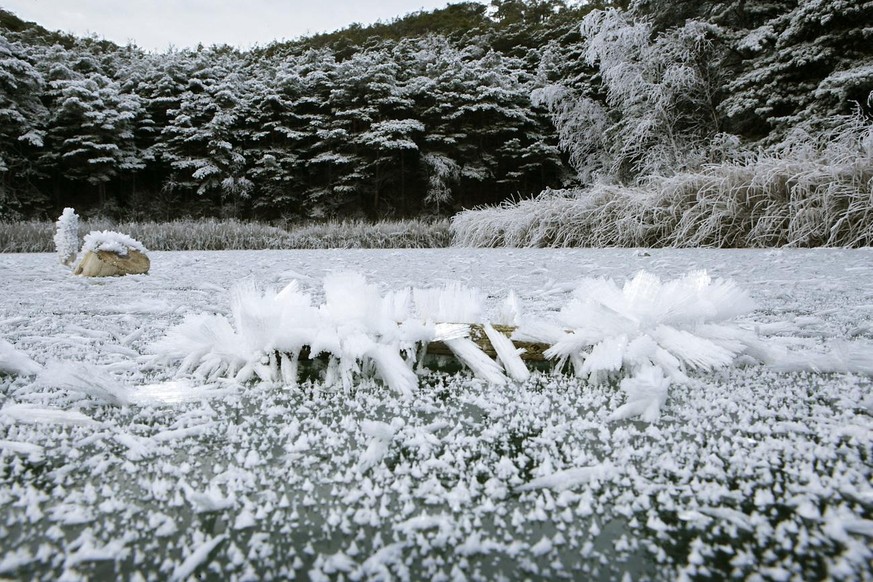 Un lac gele sous le givre au Bois de Finges, photographie en Valais, ce samedi 30 decembre 2006. Le Bois de Finges/Pfyn est la plus grande pinede naturelle d&#039;Europe et a ete inscrit dans l&#039;i ...