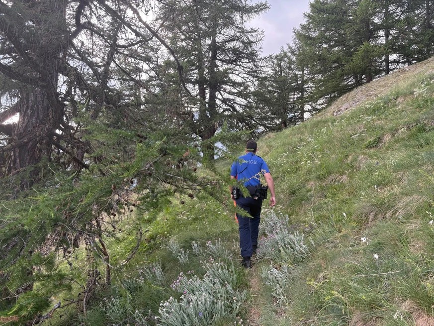 Un randonneur de 70 ans a succombé à ses blessures après une chute sur un sentier de randonnée près de Mund, dans le Haut-Valais. Ce Suisse avait fait une chute dans la région de Gumperwald le 24 juin ...