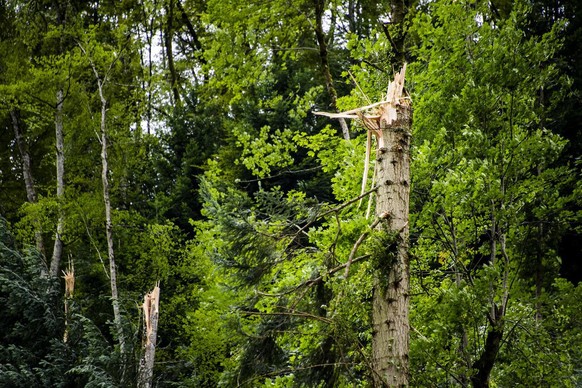 Vue aérienne sur une forêt au bord du Doubs suite aux fortes précipitations des derniers jours le mercredi 14 juillet 2021 à Saint-Ursanne dans le canton du Jura