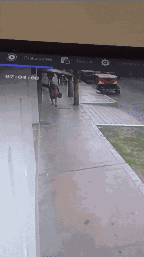 GIF animé