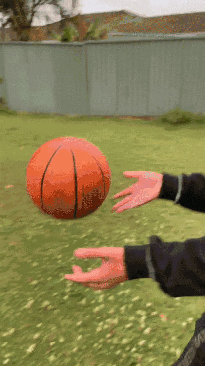 GIF animé