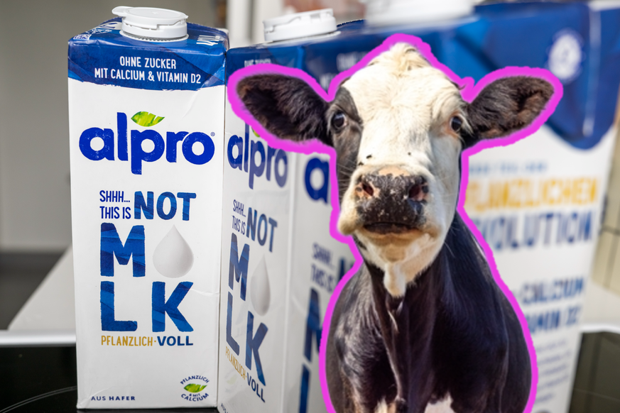Le lait d'avoine alpro de Danone ne peut plus être vendu comme un lait, le terme étant réservé aux produits des mammifères tels qu'une vache.