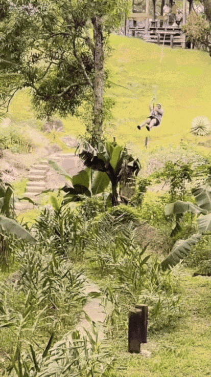 GIF animé