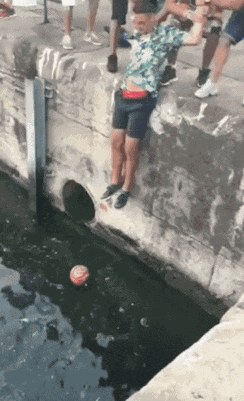 GIF animé