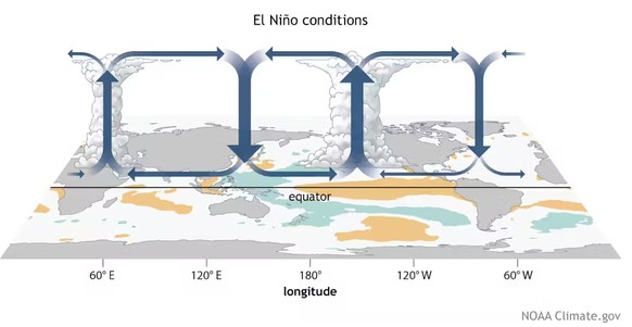 Pendant El Niño, la circulation de Walker se déplace vers l’est, de sorte que davantage de tempêtes se forment au large de la Californie lorsque l’air chaud s’élève au-dessus des eaux plus chaudes de  ...