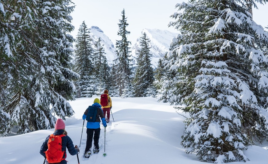 Schneeschuhwandern im oberen Toggenburg Sellamatt