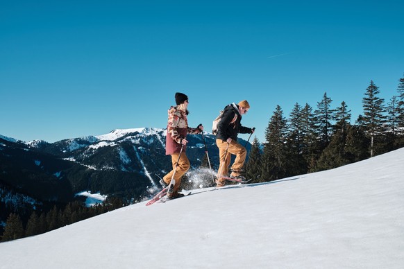 Balade en raquettes dans les Alpes Vaudoises.