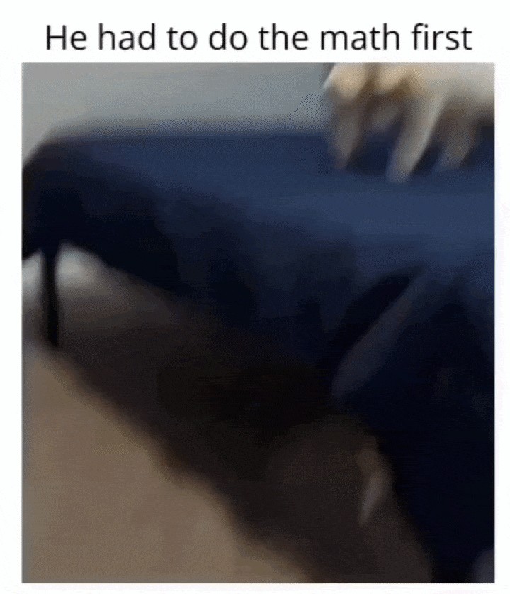 GIF animé