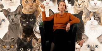 «Je hais les chats... et les gens qui ont des chats»