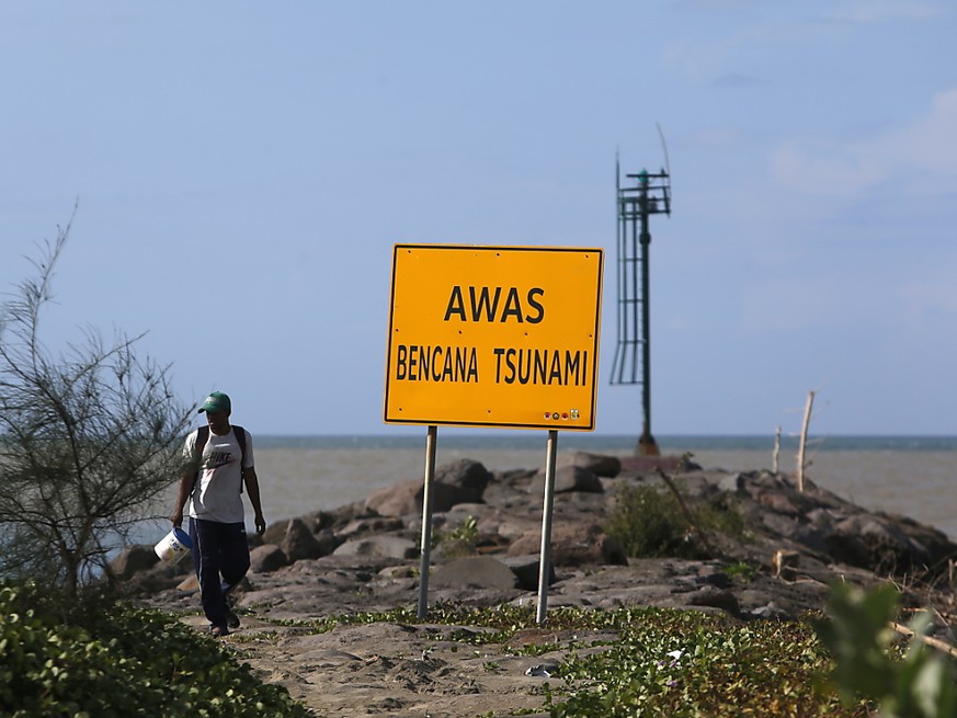 Des vagues dangereuses pourraient se développer le long des côtes d'Indonésie, situées dans un rayon de 1000 km autour de l'épicentre.