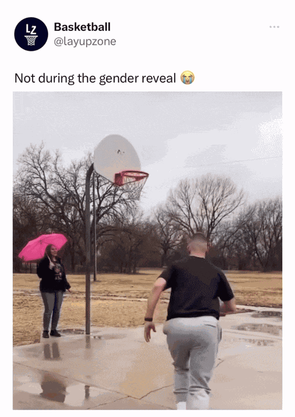 GIF animé