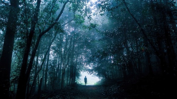 A man taking a walk through a scary forest