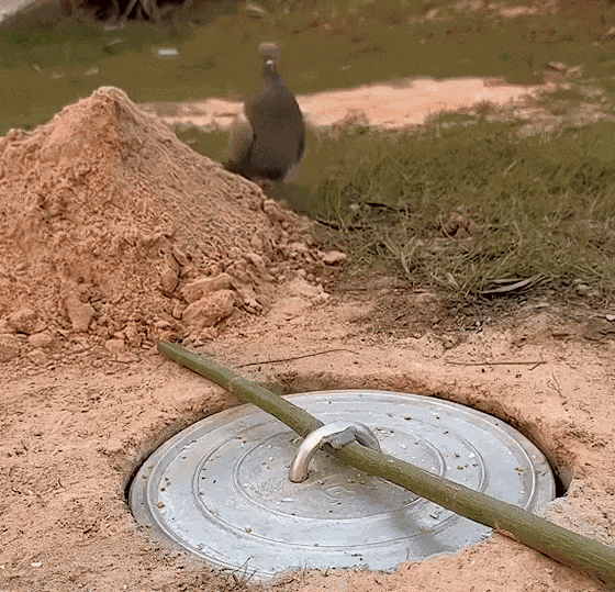 GIF animé