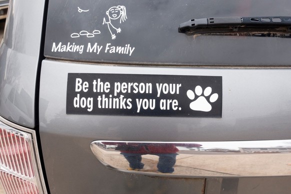 Bumper stickers – Autoaufkleber ... aber diesmal lustig