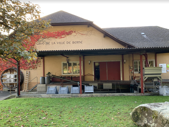 Cave de la Ville de Berne. La Neuveville, 20 octobre 2021.